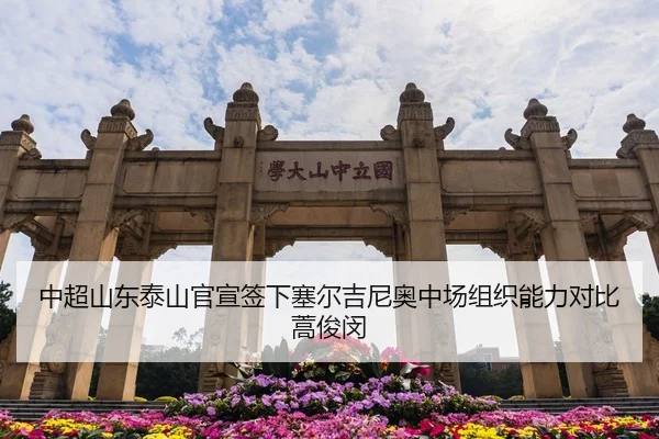 中超山东泰山官宣签下塞尔吉尼奥中场组织能力对比蒿俊闵